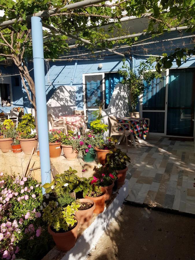 פליאוחורה Eftihia Studios מראה חיצוני תמונה